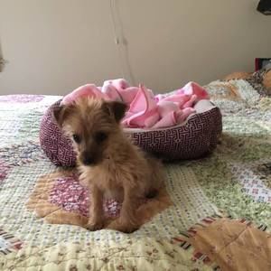 Meet your Posher, Janeen